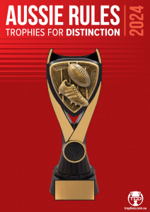 TCD-AFL-2024-e1719737415831.png